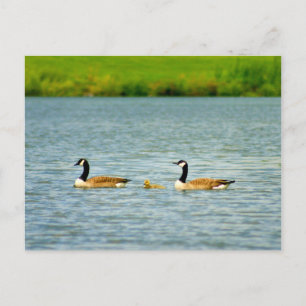 Carte Postale Famille de trois