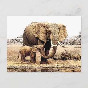 Carte Postale Famille des éléphants