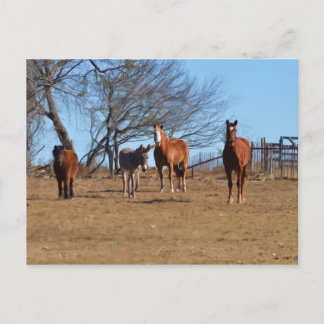 Carte Postale Famille et amis