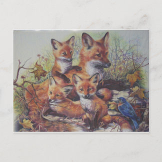 Carte Postale Famille Fox