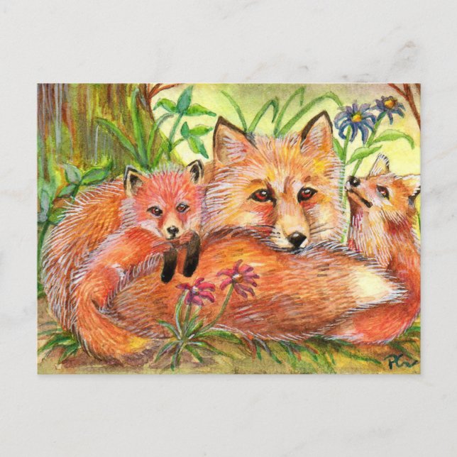 Carte Postale Famille Fox dans les bois (Devant)