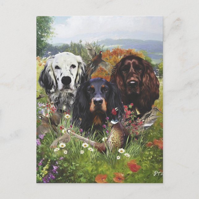 Carte Postale Famille Setters (Devant)