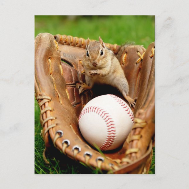 Carte Postale Fan Chipmunk (Devant)