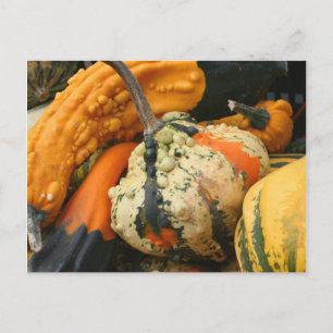 Carte postale Fancy Gourds Nature Photocard