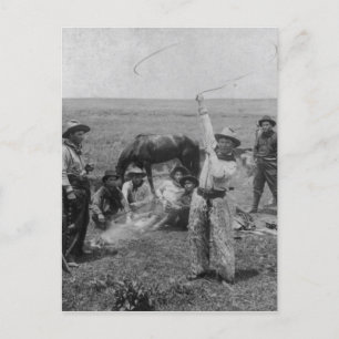 Carte Postale Fancy Roping