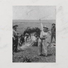 Carte Postale Fancy Roping