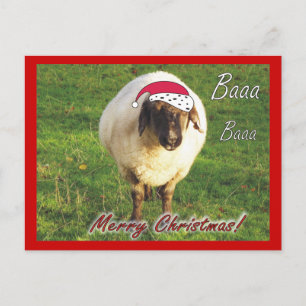 Carte postale Fantaisie Sheep Christmas