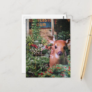 Carte Postale Faon adorable dans le jardin en collage