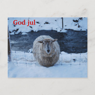 Carte Postale Fåret Fjun julkort
