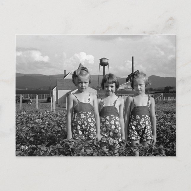 Carte Postale Farmer's Daughters, 1939 (Devant)
