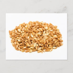 Carte Postale Farro