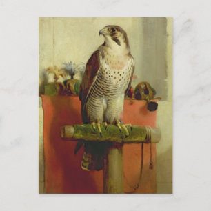 Carte Postale Faucon, 1837