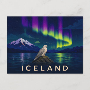 Carte Postale Faucon gerfaut sous l'aurore   Islande iconique