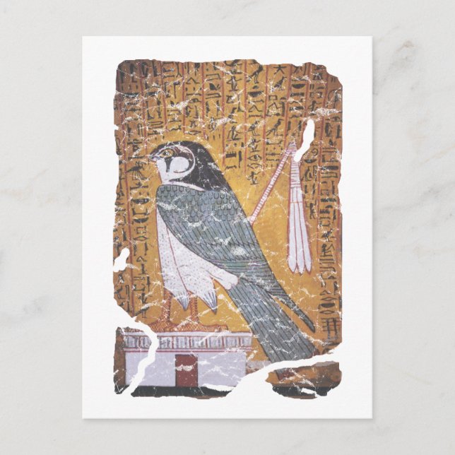 Carte Postale Faucon noir (Devant)