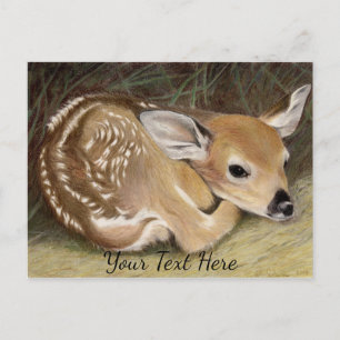 Carte Postale Faune