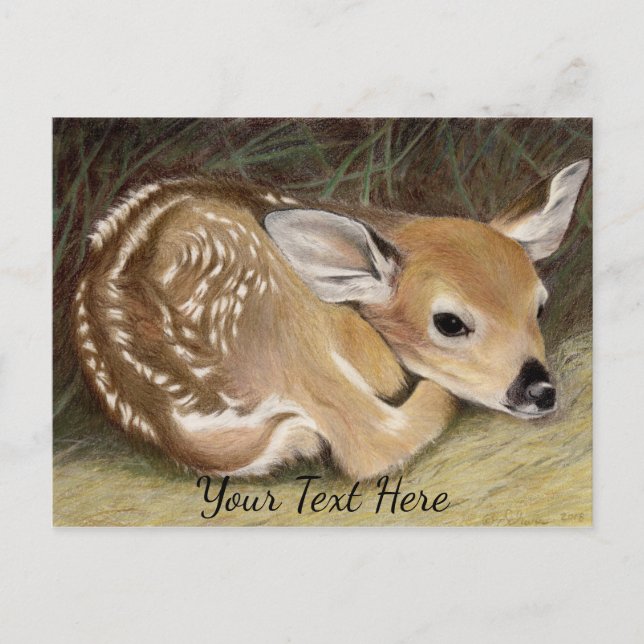 Carte Postale Faune (Devant)