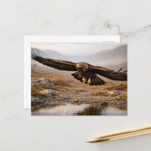 Carte Postale Faune Aigle royal Hautes terres écossaises
