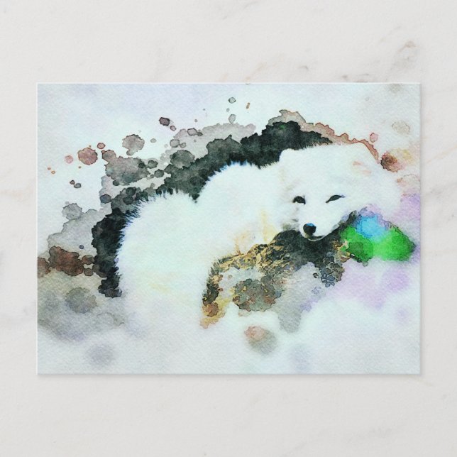 Carte Postale *~* Faune AP18 Neige Blanche Polar Fox Post (Devant)