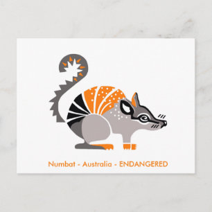 Carte Postale Faune - Cool NUMBAT - Marsupial - Australie