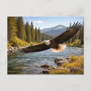 Carte Postale Faune Pygargue à tête blanche en vol stationnaire