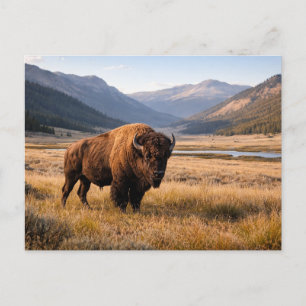 Carte Postale Faune sauvage Bison d'Amérique Paysage de montagne