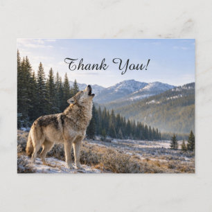 Carte Postale Faune scène de hurlement du loup gris Merci