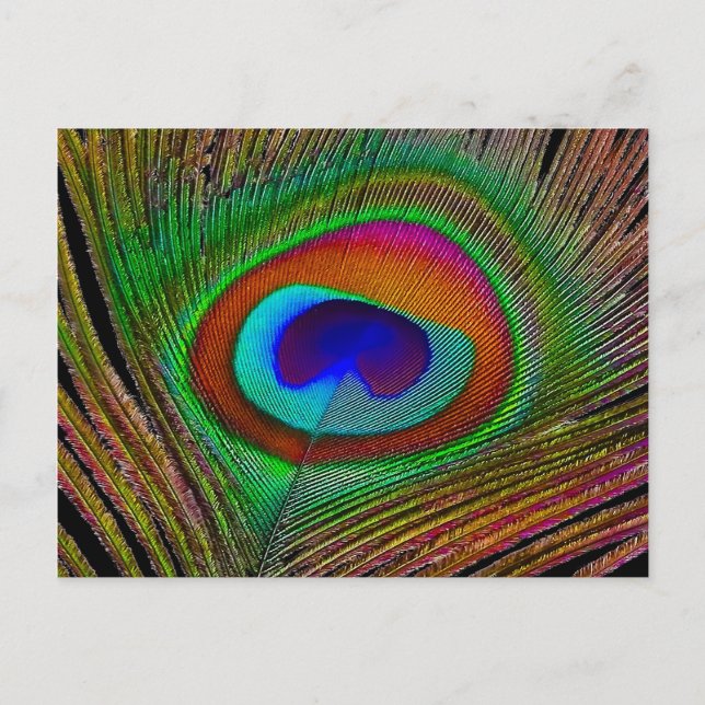 Carte Postale Feather Vibrant Copper (Devant)