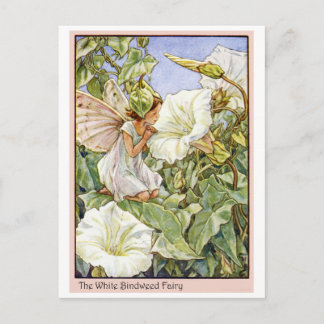 Carte Postale Fée blanche de liseron