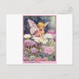 Carte Postale Fée Candytuft