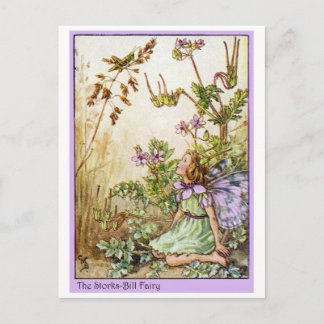 Carte Postale Fée de Bill de cigognes