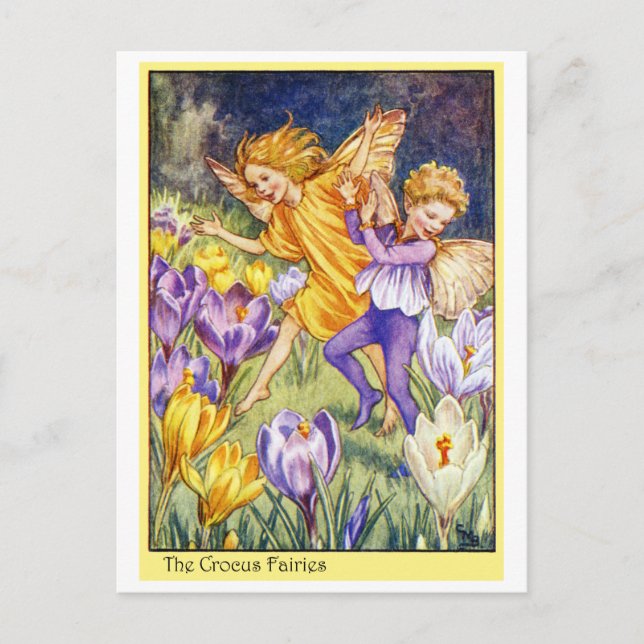 Carte Postale Fée de crocus (Devant)