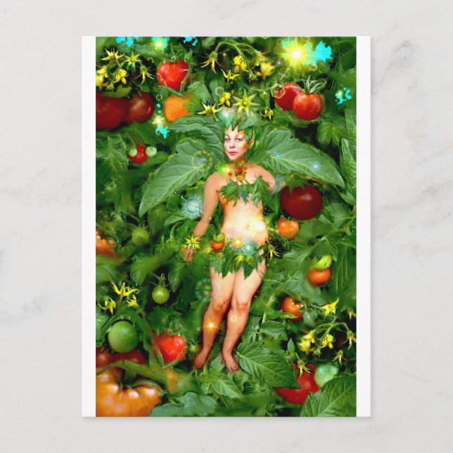 Carte Postale Fée de tomate (Devant)