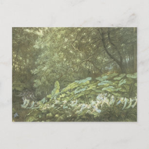 Carte postale Féerie forestière vintage