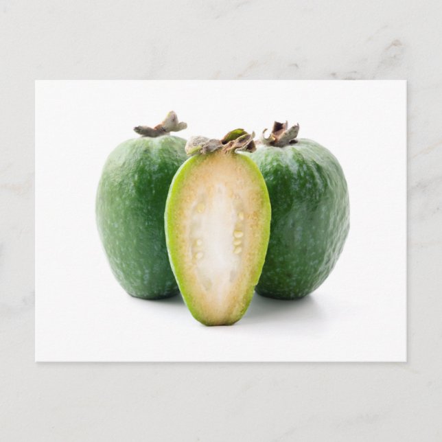 Carte Postale Feijoa (Devant)