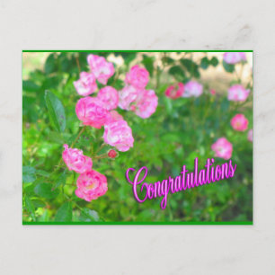 Carte Postale félicitations