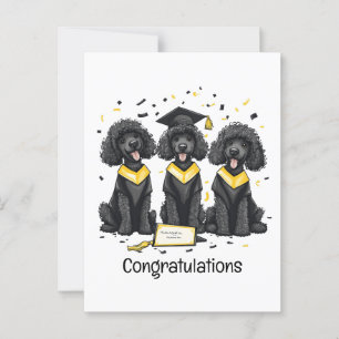 Carte Postale Félicitations Chiens Caniches Standard Diplômés