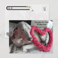 Carte postale Félicitations pour votre nouvelle ma