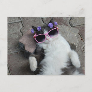 Carte Postale Feline Diva