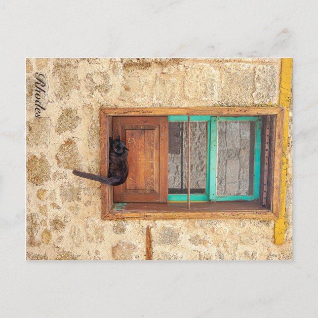 Carte Postale Feline grecque (Devant)