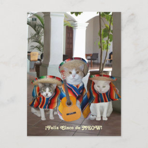 Carte Postale Feliz Cinco de Mayo
