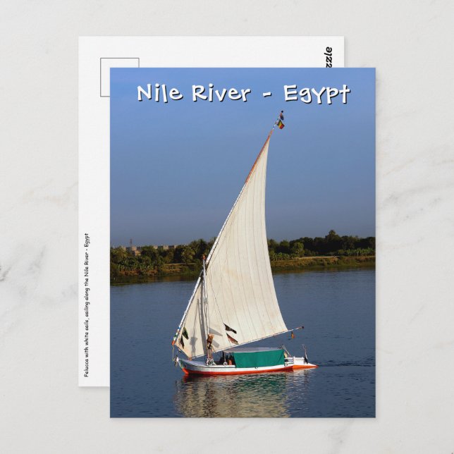 Carte Postale Felucca le long du Nil - Assouan, Egypte (Devant / Derrière)