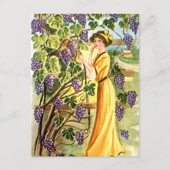 Carte Postale Femme dans le vignoble (Devant)