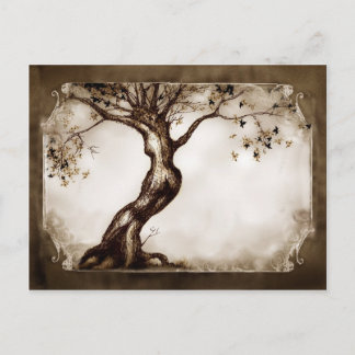 Carte Postale Femme Ent