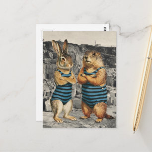 Carte Postale Femme Lapin et Dame Marmotte à la Carrière