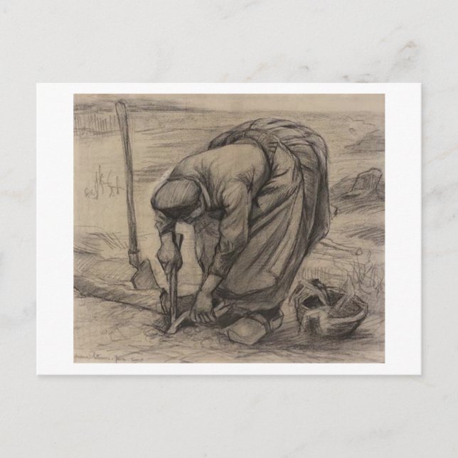 Carte Postale Femme paysanne plantant des betteraves, Vincent va (Devant)