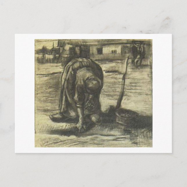 Carte Postale Femme paysanne plantant des pommes de terre, Vince (Devant)