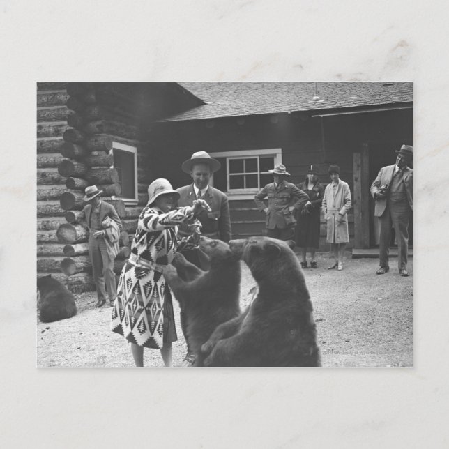 Carte Postale Femme qui nourrit des ours. (Devant)