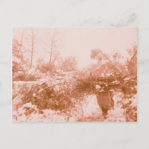 Carte Postale Femme Wood Gatherer