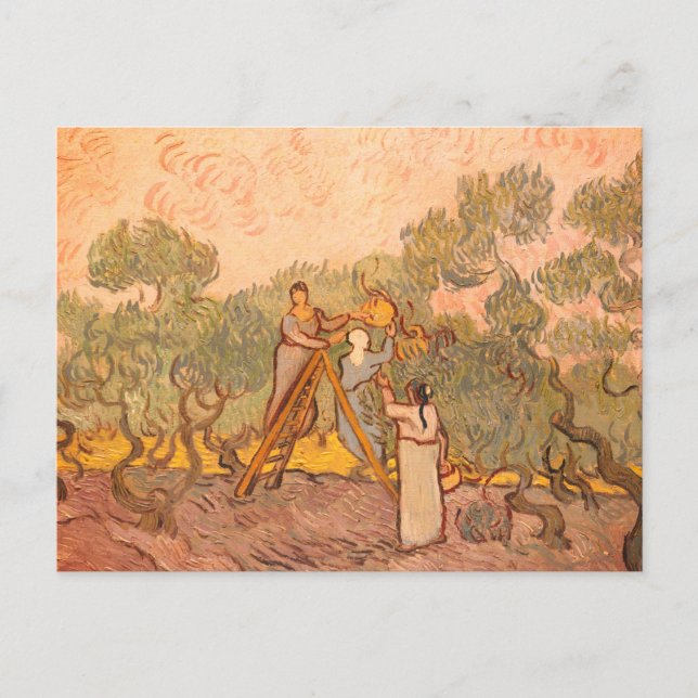 Carte Postale Femmes cueillant des olives par van Gogh : (Devant)