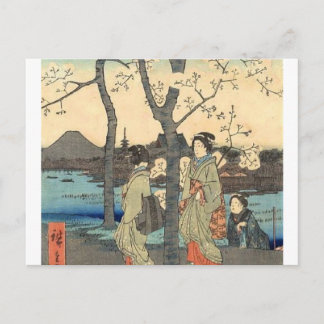 Carte Postale Femmes japonaises anciennes en fleurs de cerisiers